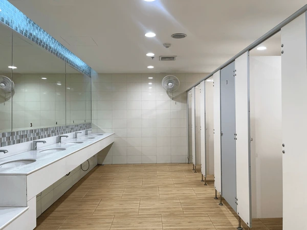 Toilet repair Shelby Township MI